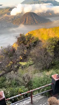 Above the Clouds