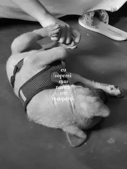 nunca me recuperei 