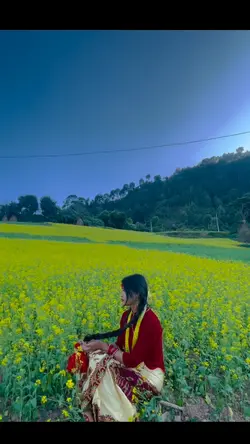 Magarni 