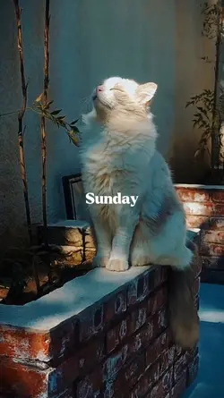 Sunday