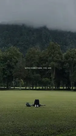 everithing you are