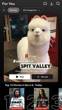 Netflix Cover🍿