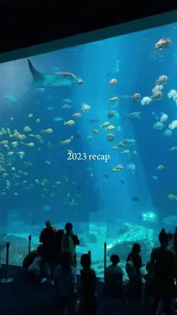 2023 recap | 88 klip