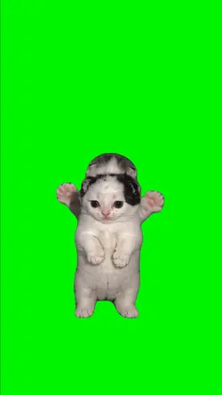 Trending Dancing Cat