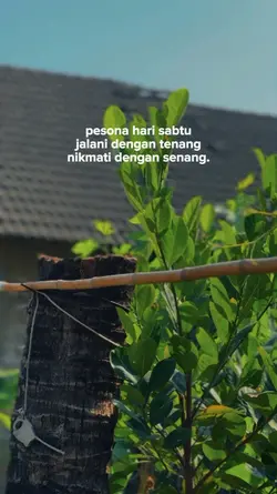 bahan sw