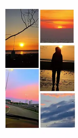 5 pictures