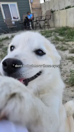 ..