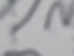 lose
