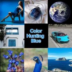 Color hunting blue💙