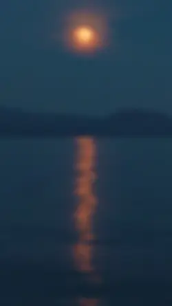 Transition video