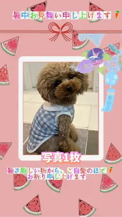 暑中お見舞い申し上げます