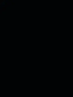 New videos