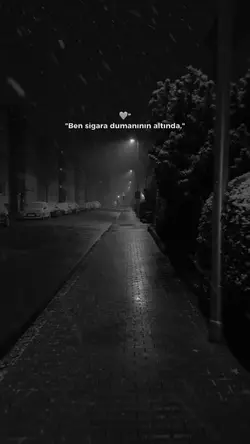 Yeni şablon