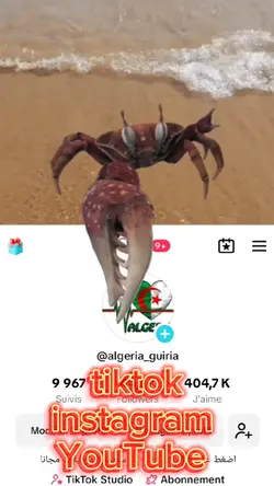 profil pro