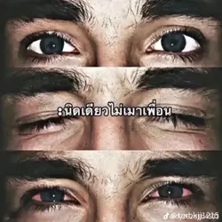 ภาพเคลื่อน