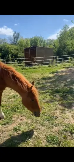 Slow Motion 