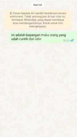 bayangan muka cantik