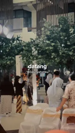 aku datang melamarmu