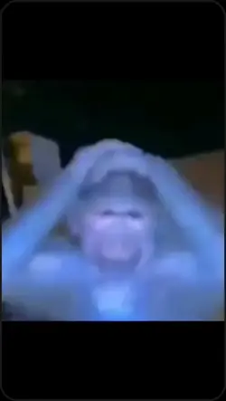 monkey