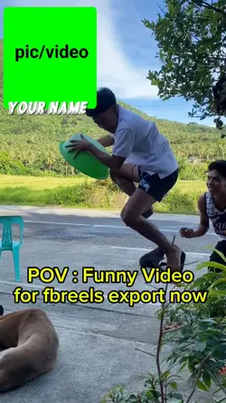 Taas ng talon