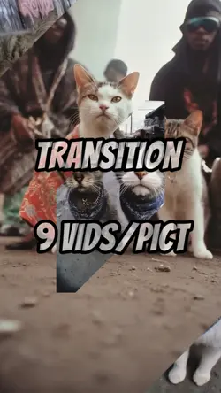 transition 9 vids