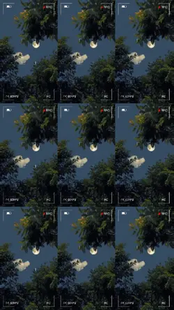 slideshow split