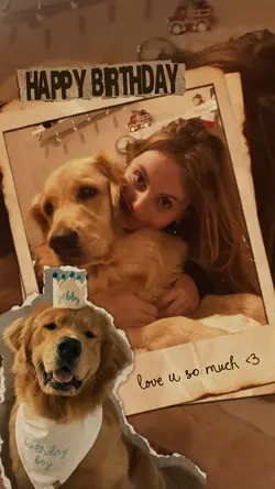 Dog Birthday 🐾🐶