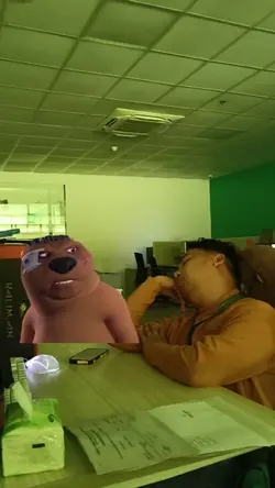 CHINESE BEAVER MEME