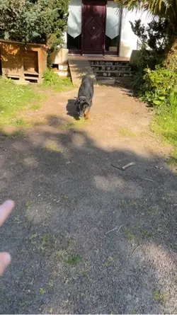 🙈