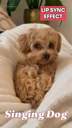 Singing Dog