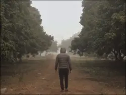 Mister,are you okay?