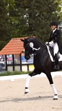 Dressage edit🦄☁️