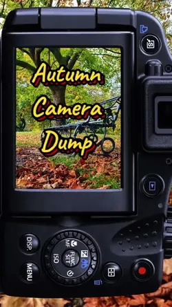 CameraDump - Autumn