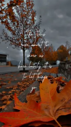 Let Things Go 🍁