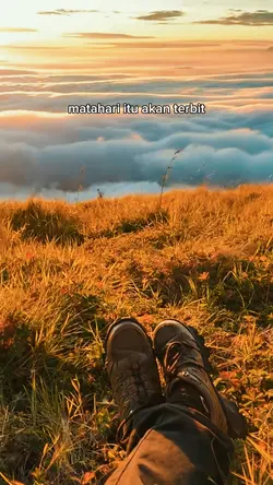 Ronald timotcy quote