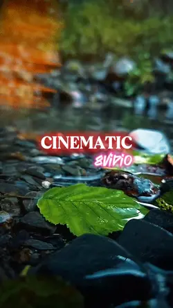cinematic vlog