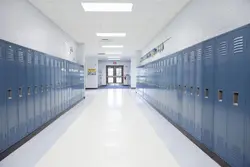 school bully ?