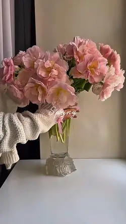 Spring Blossom