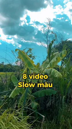 8 video slow