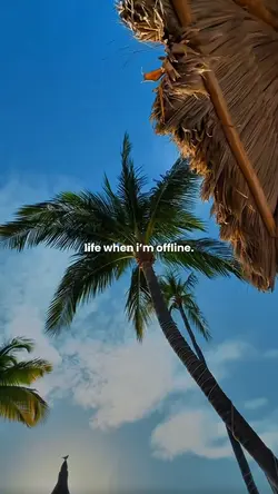 Offline Mode
