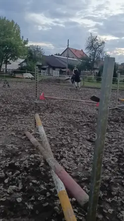 taka krótka roleczka