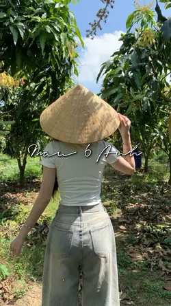[6] Mẫu 6 Ảnh