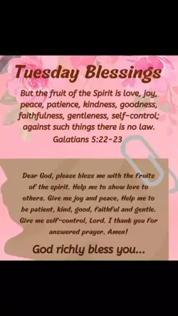 Tuesday blessings. 