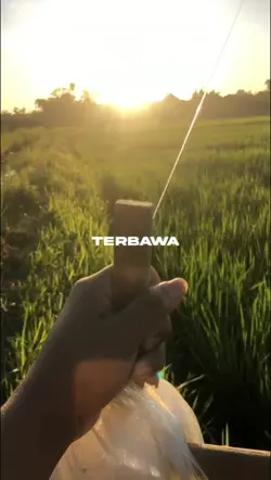layangan