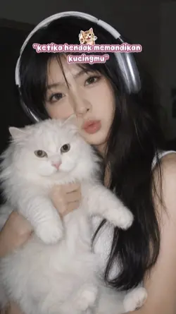 kucing lucu