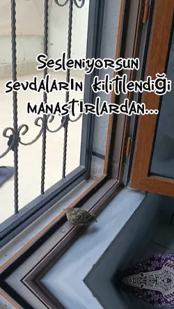 kilit altida srvdlr