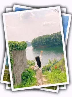 9Pic Clip Transition