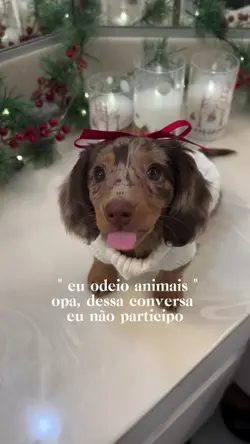 amo animaiss