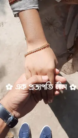 তুমি আমার অনেক শখের 