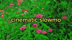 cinematic slowmo